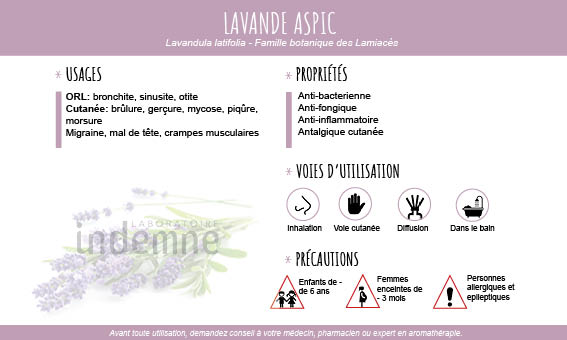 Huile essentielle de Lavande aspic